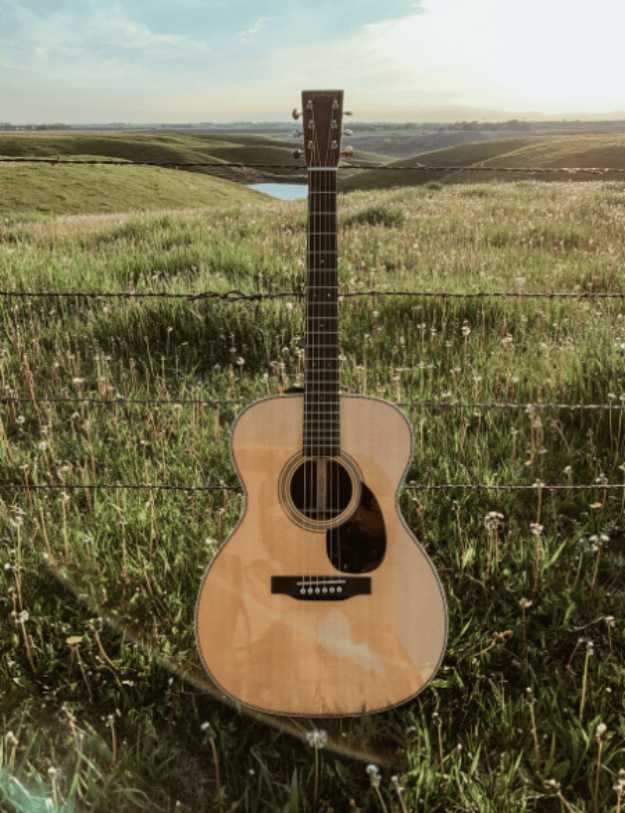  Martin HPL Guitar  up against a wire fence.