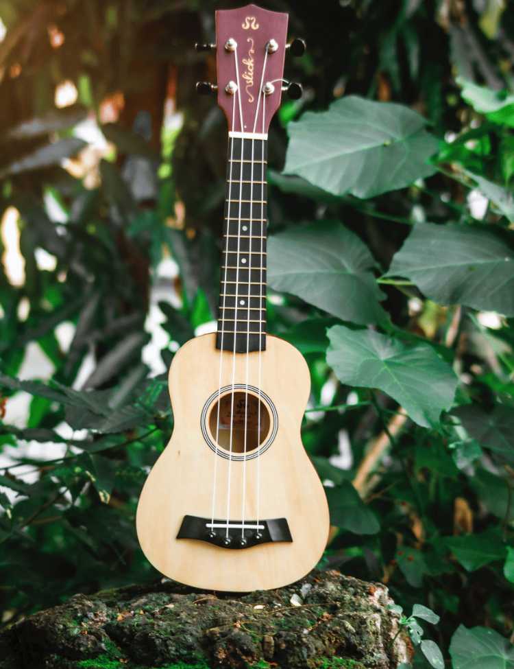 A guitar standing a stone surrounding leaves.