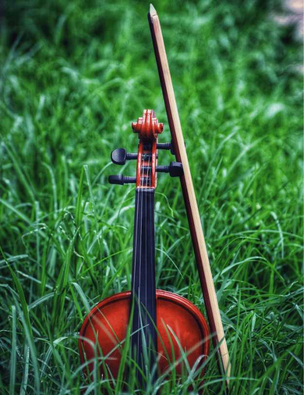 A violin in tall grass with its bow.