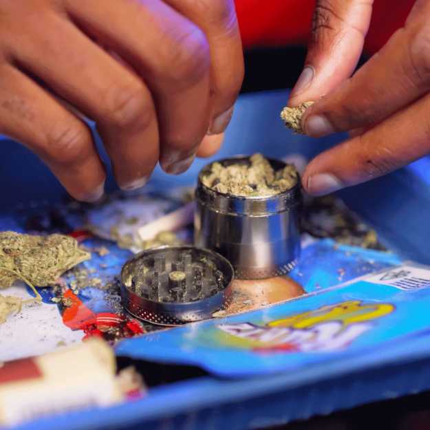 someone breaking up bud into a grinder