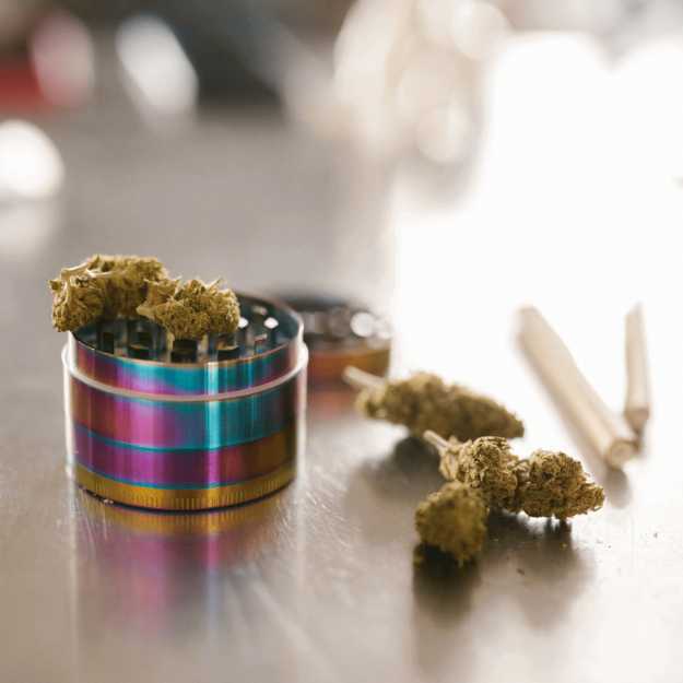 A open weed grinder with full buds on top and next to it