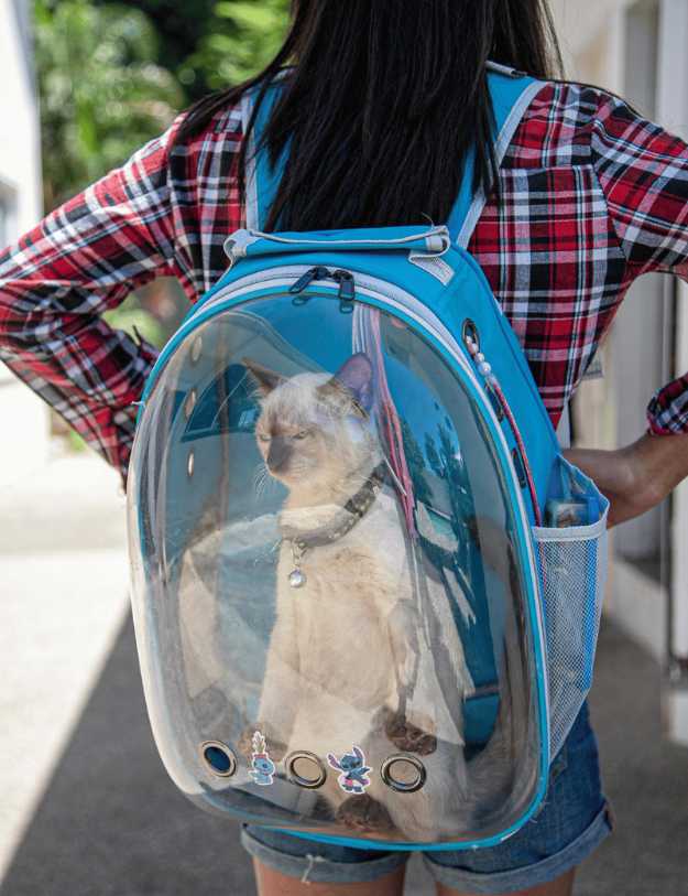 A woman wearing a blue cat backpack with a cat inside