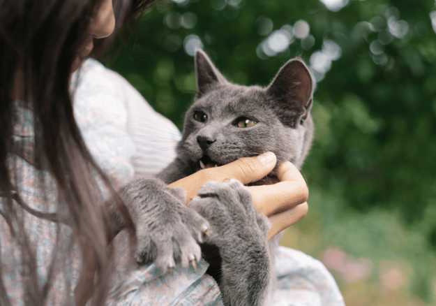 A woman holding a cat with it's claws out