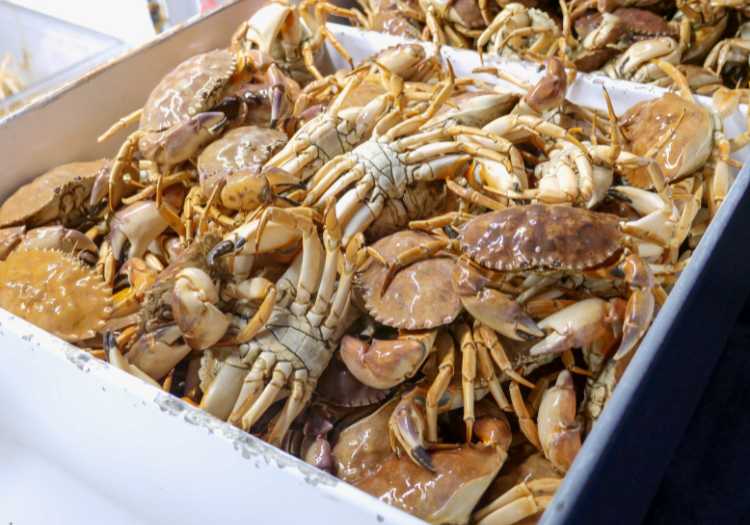 Box of assorted crabs ready to pick from!