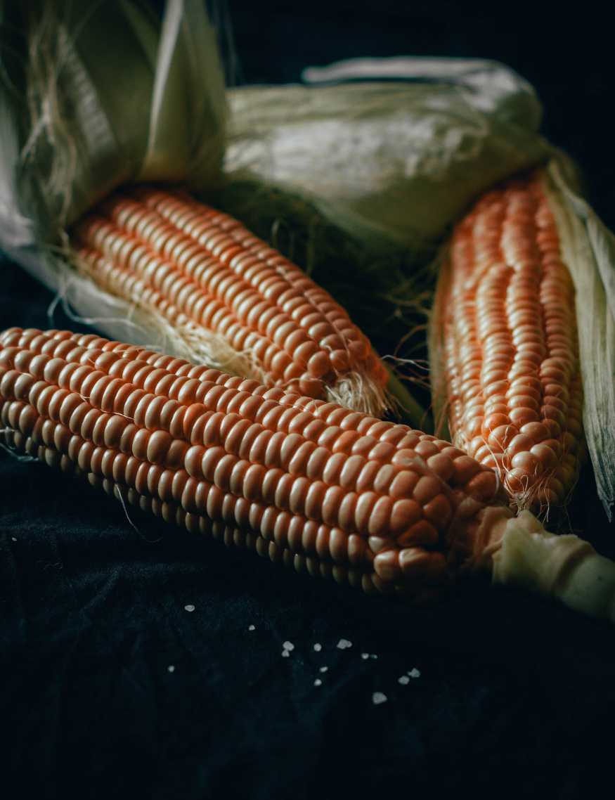 Fresh corn ready to be grilled and seasoned!
