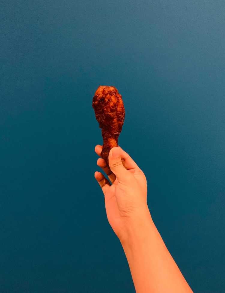 Painting of a delicious looking chicken drumstick!