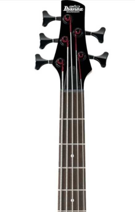 Ibanez 5 String Bass Guitar (GSR205BWNF)