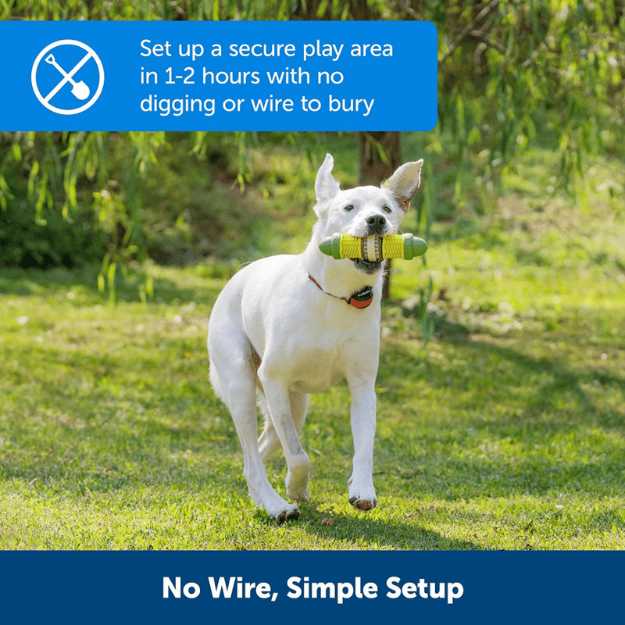 PetSafe Stay and Play Wireless fence