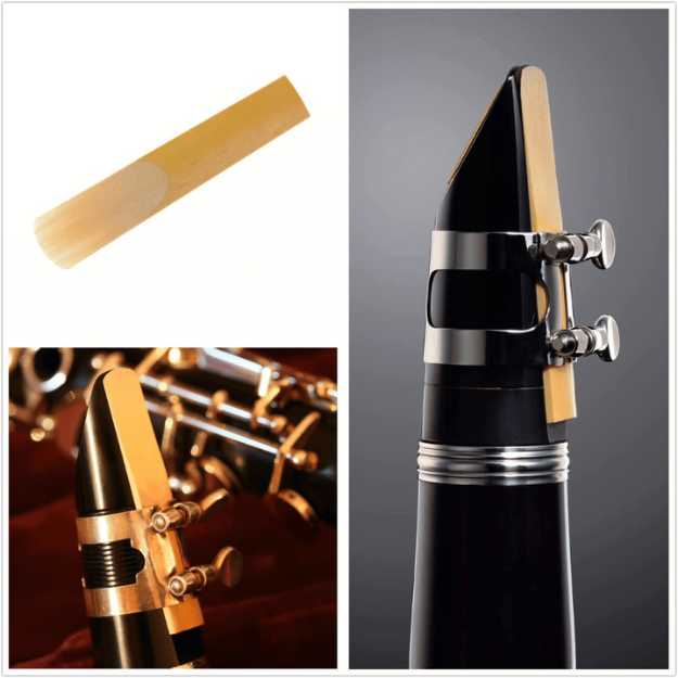 SUEWIO Bb Clarinet Traditional Reeds