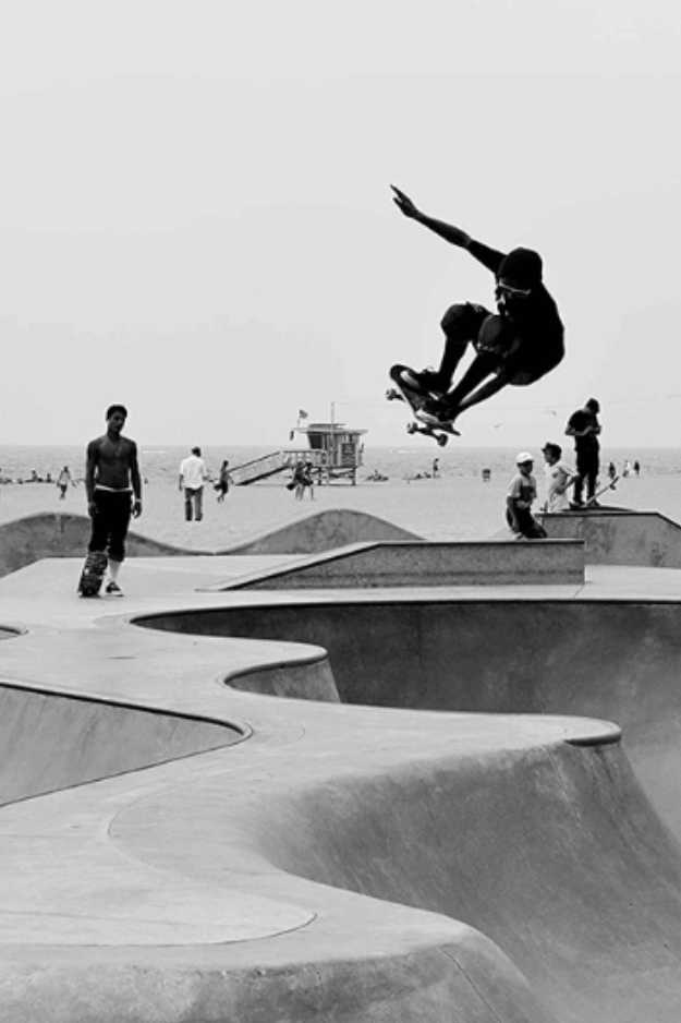 Skateboard Collective Blank Skateboard Deck