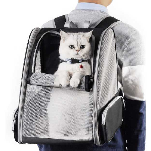 Texsens Pet Backpack  for Small Cats