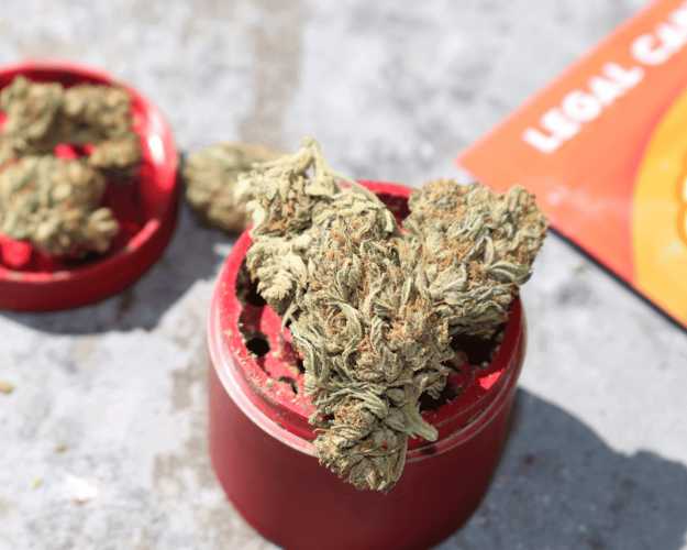 A red weed grinder with full buds on top