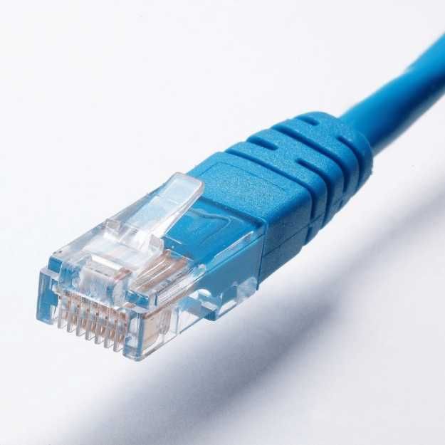A blue ethernet cable.