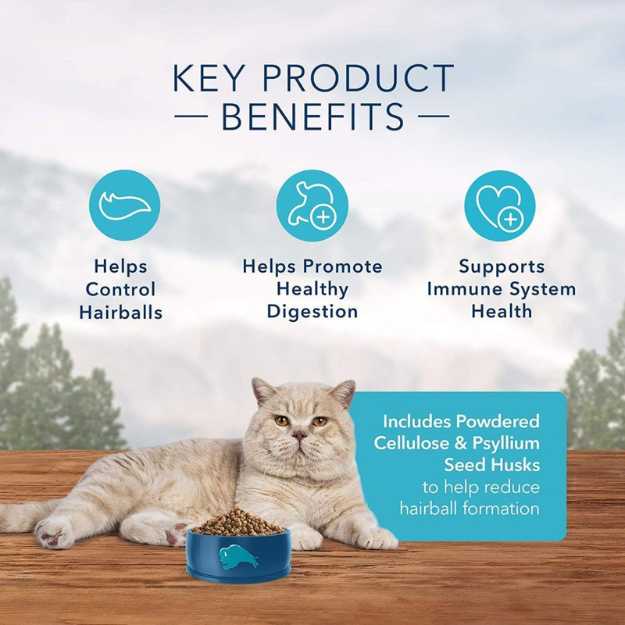 Blue Buffalo Wilderness High Protein Dry Cat Food