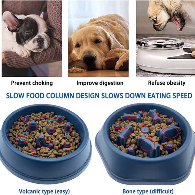 Caishow Slow Feeder Dog Bowl