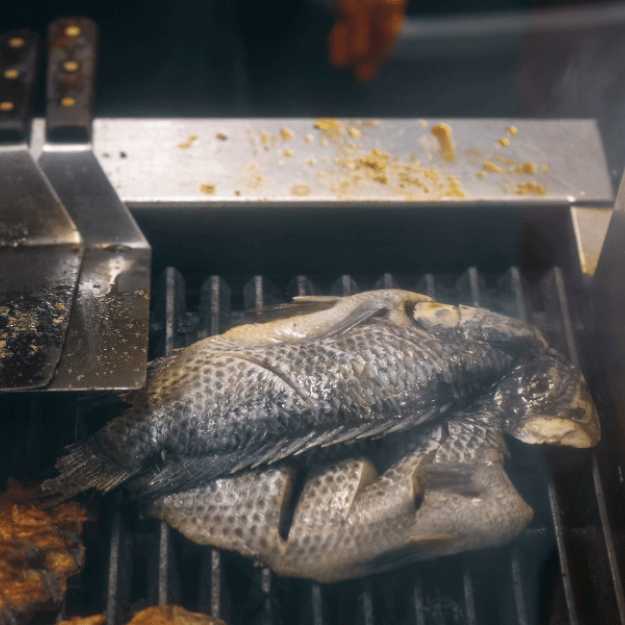A Fish cooking on a grill.