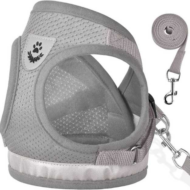 Gauterf Cat and Puppy Harness and Leash Set