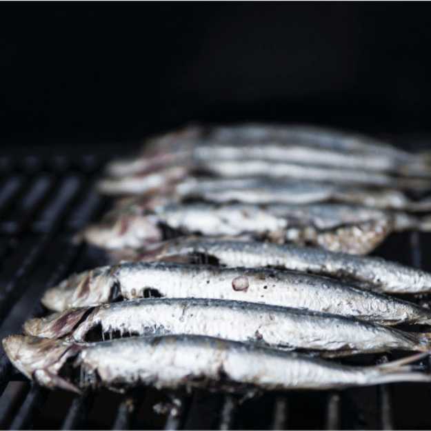 Sardines in a line on a grill.