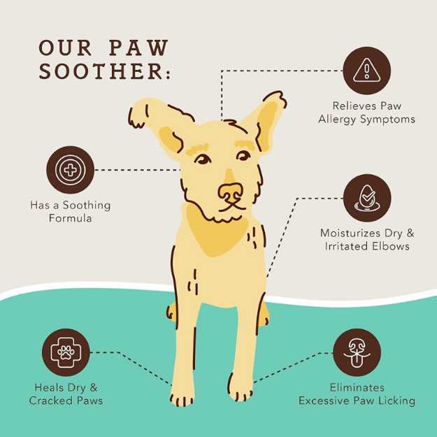 Natural Dog Company Paw Soother Tin
