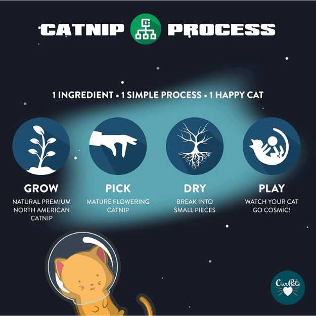 Our Pets Cosmic Catnip