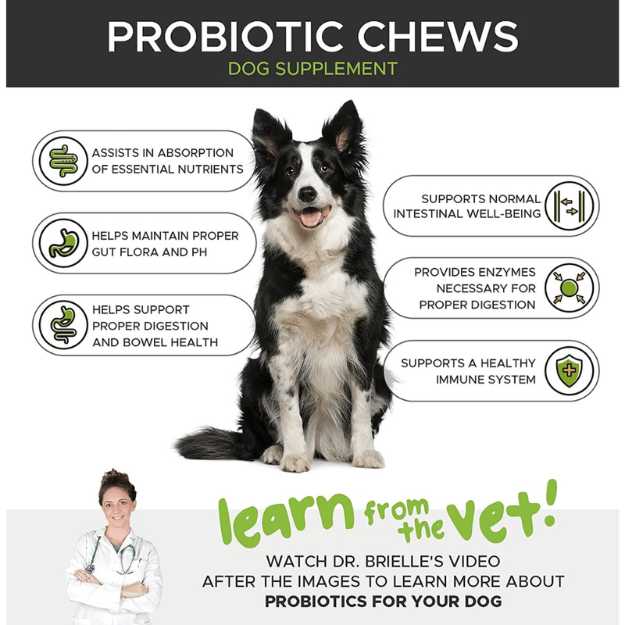 PetHonesty Natural Digestive Support for Dogs & Cats