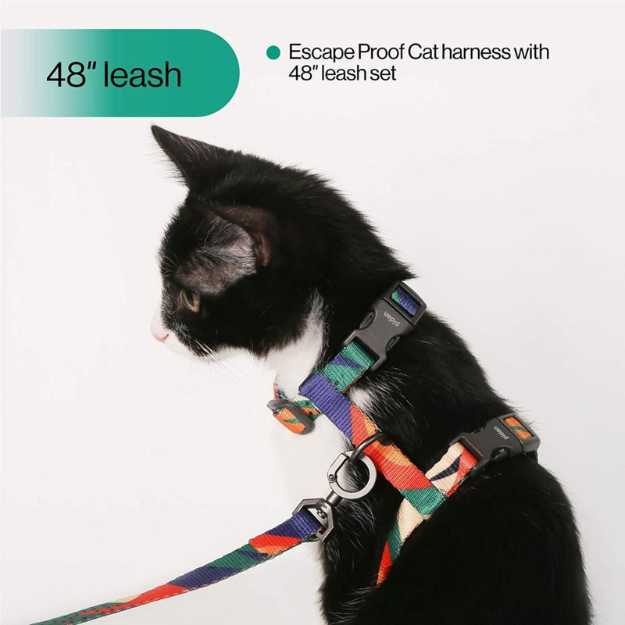 Pidan Cat Harness and Leash Set
