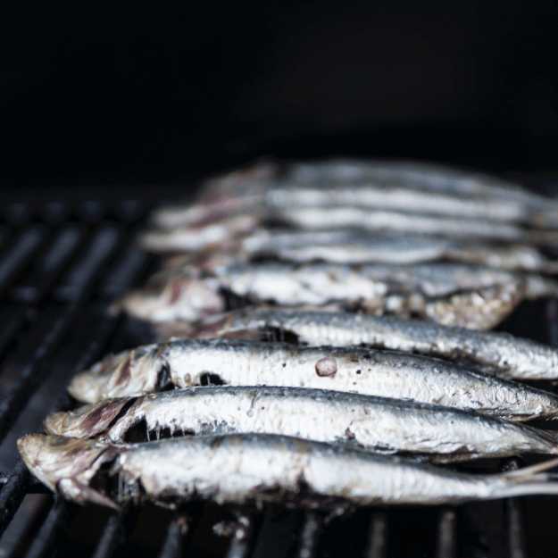 Sardines lined up on a grill.