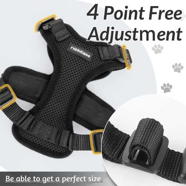 Rabbitgoo Cat Harness and Leash for Walking