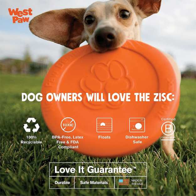 West Paw Zogoflex Zisc Dog Frisbee