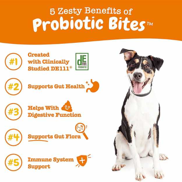 Zesty Paws Dog Probiotic
