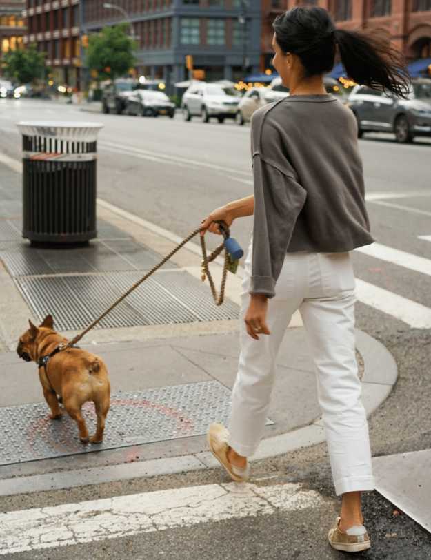 Woman walking a frenchie bull dog.