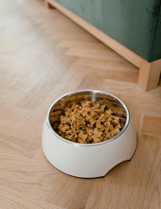 A white bowl filled with bone shaped dog food.